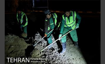 ​جا به جایی درختان گیشا به دلیل ساخت زیرگذر 30