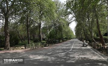 بوستان بانوان نرگس 27