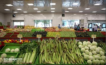 آیین افتتاح ۸ میدان میوه و تره بار سازمان میادین شهرداری 4