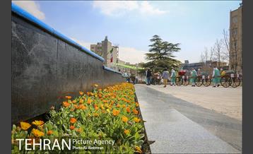 حرکت کاروان نوروزی در محله های شمال شرق تهران 7