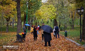 سمفونی رنگ های پاییزی - پارک ملت 8