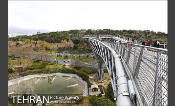 به مناسبت ده سالگی پل طبیعت 14