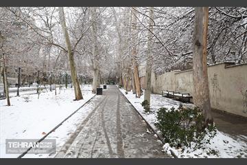 روز زمستانی تهران 9