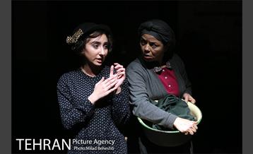 نمایش اثر پرتوهای گاما بر گل های همیشه بهار 5