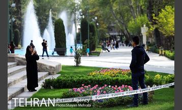 رویش گل های لاله در پارک شهر 28