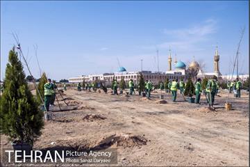 آیین کاشت "درخت ایثار" 28
