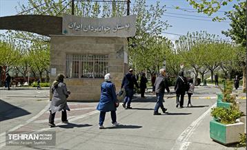 روز طبیعت در منطقه ۵ 39