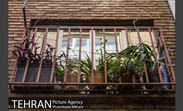 پنجره های شهر تهران 21
