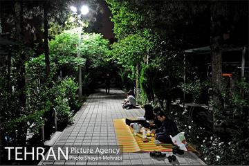 احیا شب 23 رمضان در بهشت زهرا 31