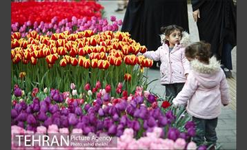 هفتمین سالگرد رویداد جذاب و دیدنی "پیاده راه لاله برای مادران" 5