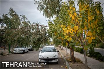 پاییز زیبای پایتخت- 3