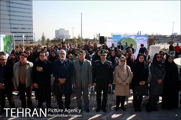 آیین درختکاری در منطقه فرهنگی و گردشگری عباس آباد  1