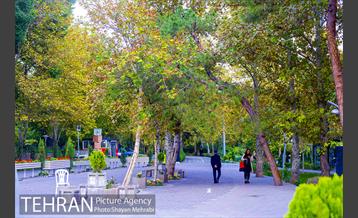 پاییز بوستان لاله 37