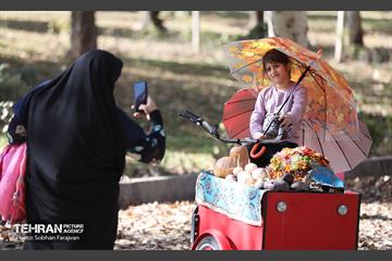 گذر پاییزی بوستان بعثت 11