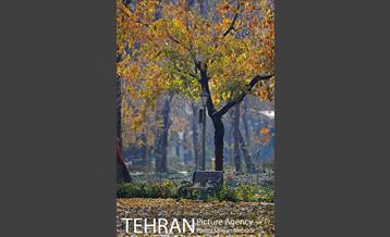 پاییز در پارک شهر 29