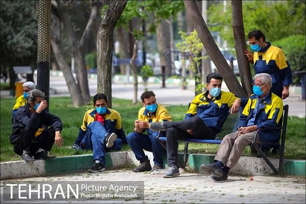 آغاز واکسیناسیون پاکبان‌ها و پرسنل جمع‌آوری پسماند شهر تهران 12