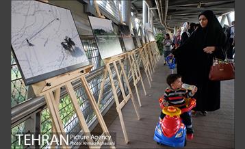 نمایشگاه “طبیعت تهران” بر روی پل طبیعت 7