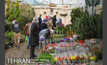 بازار گل و گیاه غرب تهران در آستانه نوروز 12