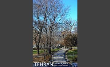 بوستان پلیس 47