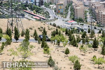 رقـابت یکصد خودرو در رالی تهران  26