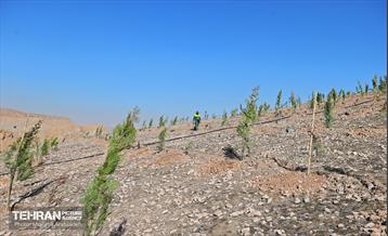 احداث فاز یک کمربند سبز شهر تهران 20