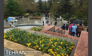 روز طبیعت بارانی در بوستان ملت 17