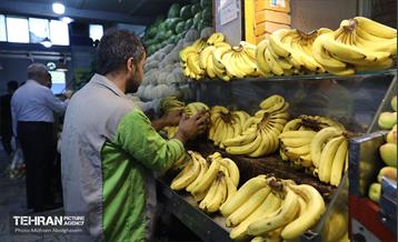 خدمات رسانی بازارهای میوه و تره‌بار 19