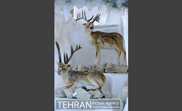 ژوراسیک پارک تهران 3