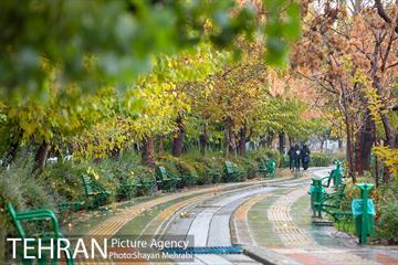 پاییز در بوستان المهدی(عج) 3