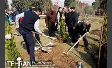 کاشت نهال در بوستان ولایت  38