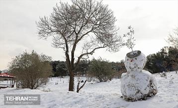 روز برفی در منطقه 13 6