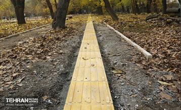 مراحل احداث پروژه ی باغ باهنر 31