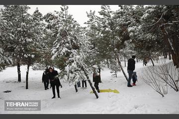 روز برفی تهران - 2 9