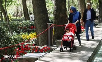 باغ ایرانی میزبان لاله‌ها 20