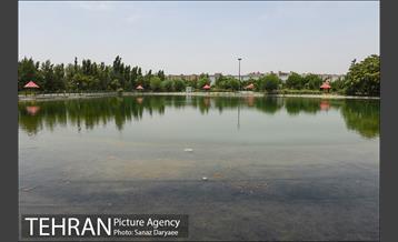 بوستان پردیس بانوان 29