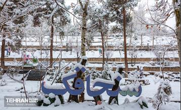 روز برفی در منطقه 6