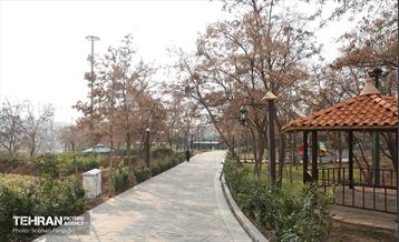 به وقت خدمت؛ مسیر زندگی 54