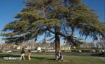 حال و هوای نوروزی تهران  6