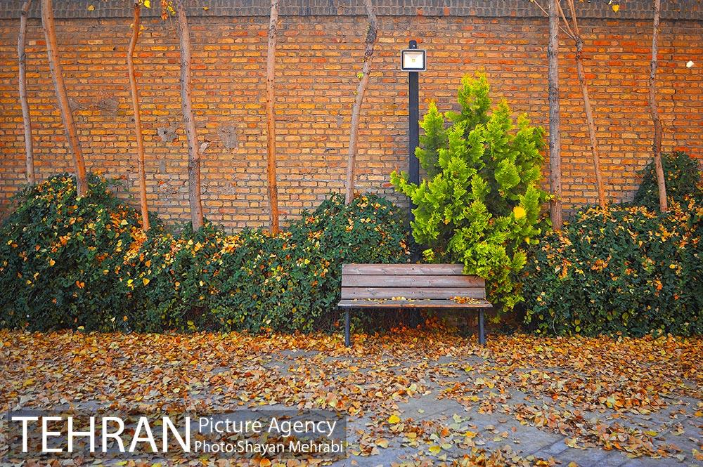 پاییز باغ موزه قصر 6