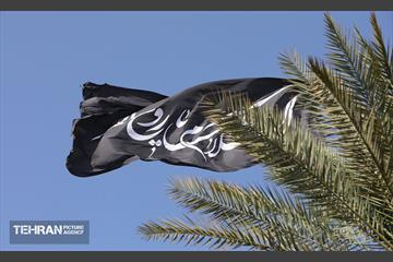 سی و ششمین سالگرد ارتحال امام خمینی (ره) 8