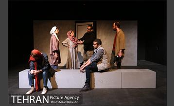 نمایش پروانه الجزایری 13