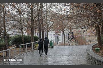 بارش باران زمستانی در تهران 24