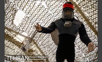 نمایشگاه دستاوردهای دفاع مقدس و مقاومت 17