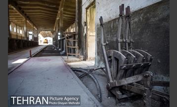 سیلوی گندم تهران 50