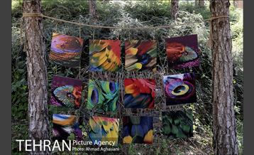 افتتاح اولین "باغچه خبر" در تهران 10