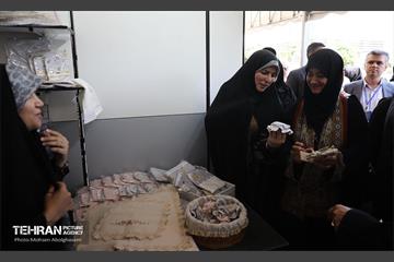 رویداد و نمایشگاه ملی مشاغل خانگی ایران 6