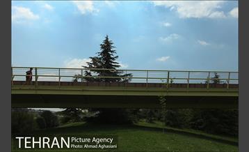 پل جدید بوستان آب و آتش 12