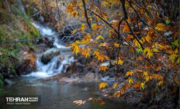 سمفونی رنگ های پاییزی - دربند 20