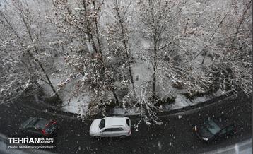 روز برفی تهران / نیما بزرگمهری فرد