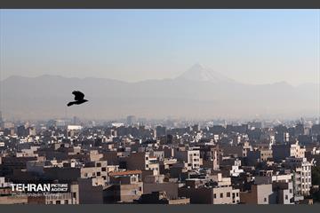 بازدید کمیسیون برنامه و بودجه شورای شهر از پروژه‌های منطقه ۱۷ 26